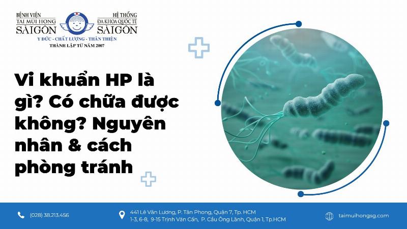 Điều trị HP Bao Lâu Thì Xét Nghiệm Lại Chính Xác Nhất?