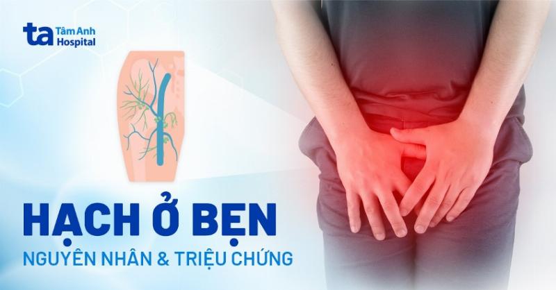 Hình ảnh mô phỏng viêm nang lông ở bộ phận sinh dục nam, một trong các loại mụn ở bộ phận sinh dục nam do nhiễm trùng nang lông