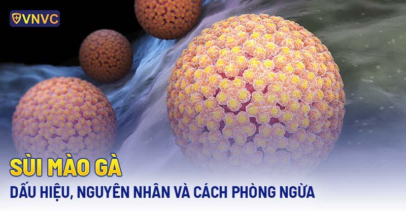 Sùi Mào Gà Có Hết Không? Sự Thật Về Căn Bệnh “Khó Nói”