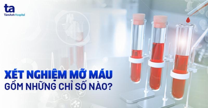 Rối Loạn Chuyển Hóa Lipid: Kẻ Thù Thầm Lặng Sức Khỏe Bạn Cần Biết