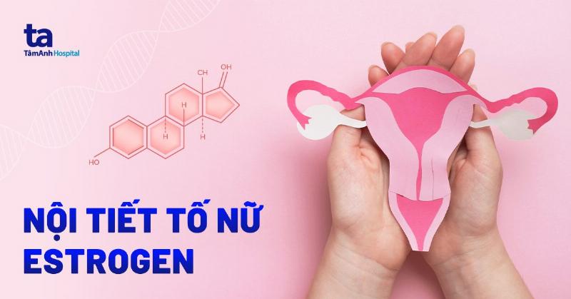 Hình ảnh minh họa các ống xét nghiệm máu, có thể có kèm theo tên các hormone nữ phổ biến (FSH, LH, Estrogen, Progesterone, AMH)