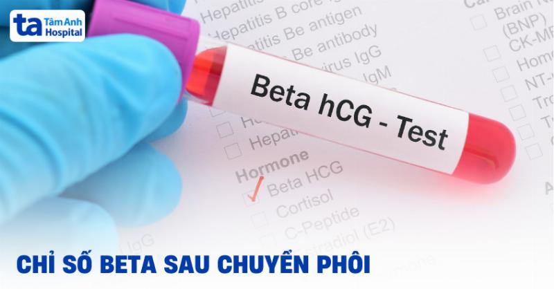 Cách Đọc Kết Quả Xét Nghiệm Beta HCG – Chìa Khóa Hiểu Về Thai Kỳ Của Bạn