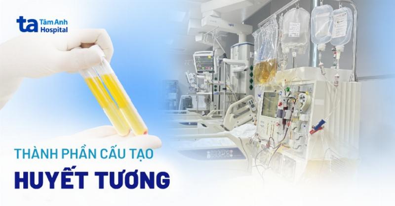 Xét nghiệm đông máu cơ bản: Hiểu rõ vì sao quan trọng cho sức khỏe