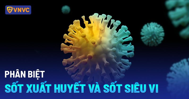 Hình ảnh minh họa các triệu chứng sốt siêu vi thường gặp