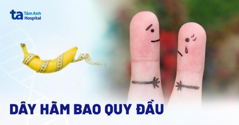 Dây Hãm Bao Quy Đầu Là Gì? Hiểu Rõ Để Chăm Sóc Vùng Kín Đúng Cách