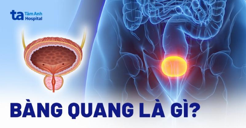 Dấu hiệu sa tử cung: Nhận biết sớm để bảo vệ sức khỏe phụ nữ