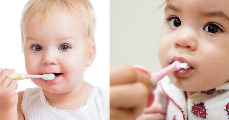 Bắt đầu làm sạch nướu cho bé ngay cả trước khi mọc răng.