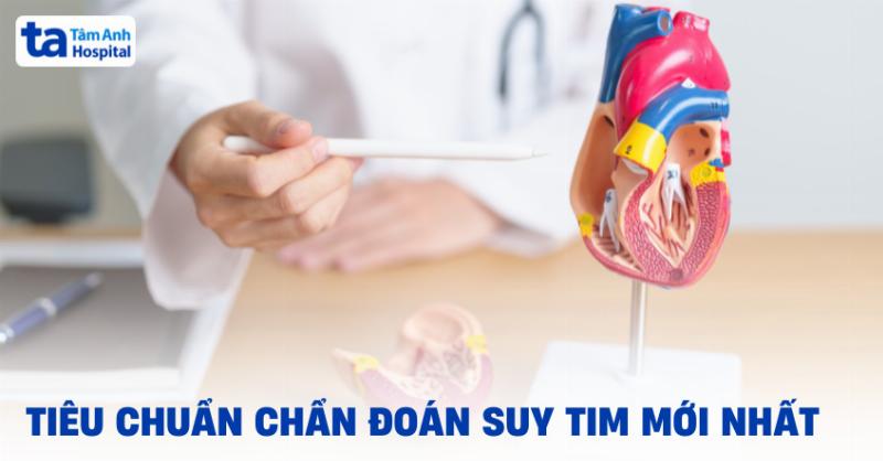 Đau Ngực Trái Là Bệnh Gì? Giải Mã Những Lo Lắng Thường Gặp