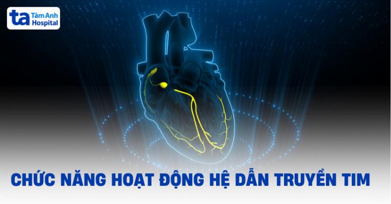 Block AV độ 1 là gì: Hiểu rõ nhịp tim và sức khỏe tim mạch của bạn