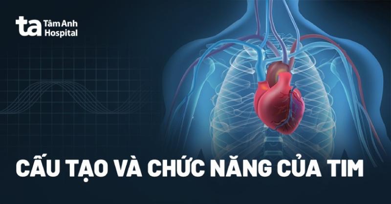 Khám Phá Các Bộ Phận Cơ Thể Người Nữ: Cẩm Nang Chi Tiết Từ A-Z