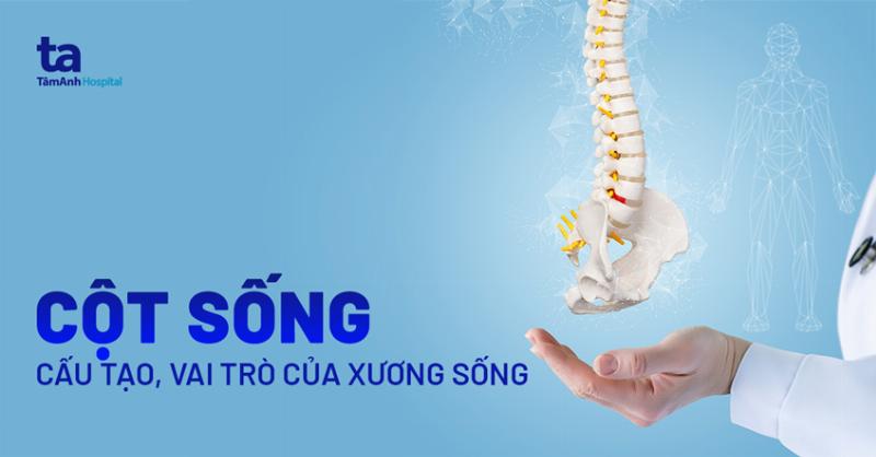 Đau Sau Lưng Bên Trái: Nguyên Nhân, Triệu Chứng & Khi Nào Cần Gặp Bác Sĩ