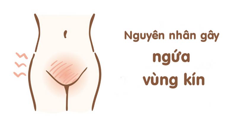 Tiến sĩ, Bác sĩ Nguyễn Thị Mai Anh - Chuyên gia Sản Phụ khoa với lời khuyên về ngứa vùng kín