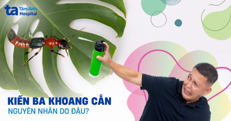 Bị Kiến Ba Khoang Đốt: Hiểu Rõ Nguyên Nhân, Triệu Chứng Và Cách Xử Lý An Toàn