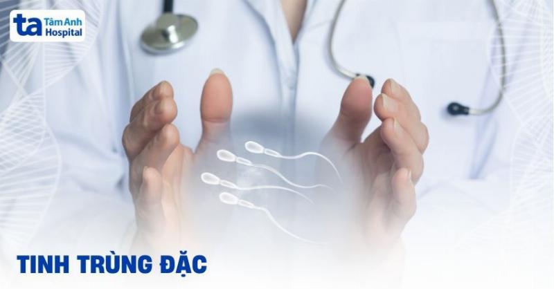 Hình Ảnh Tinh Trùng Đông Đặc: Dấu Hiệu, Nguyên Nhân & Cách Xử Trí