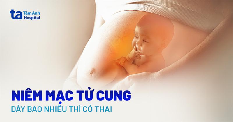 Hình ảnh niêm mạc tử cung chuẩn bị cho sự làm tổ của phôi thai
