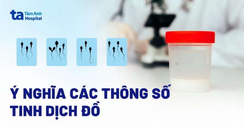 Tinh trùng bị vón cục như thạch: Nguyên nhân, Dấu hiệu & Phương pháp chữa