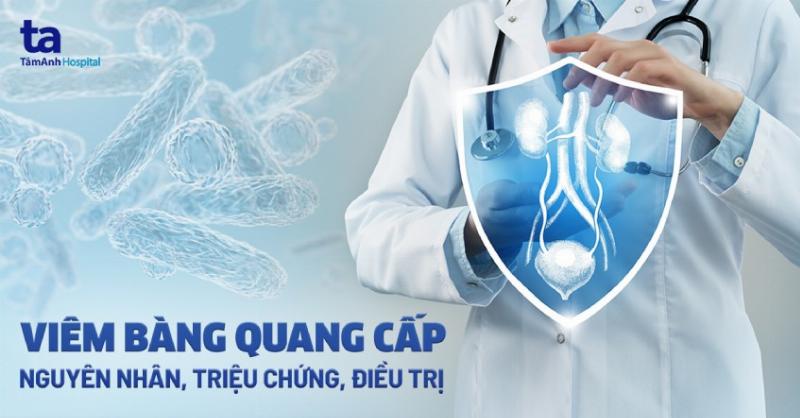 Viêm Bàng Quang Ở Phụ Nữ: Cẩm Nang Từ A Đến Z Cho Chị Em