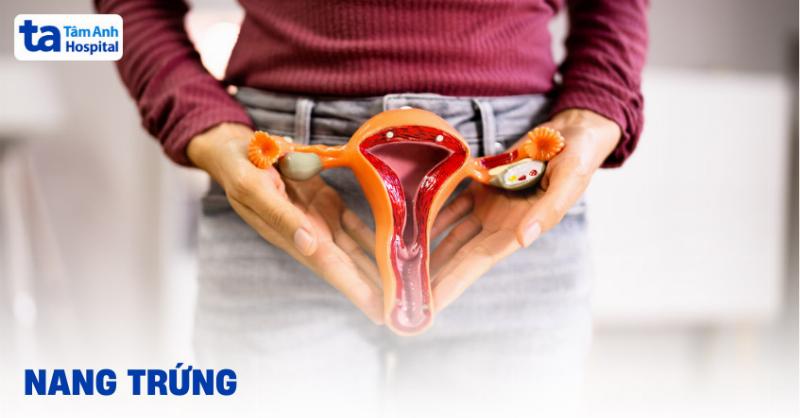 Hình ảnh siêu âm buồng trứng theo dõi sự phát triển nang trứng trong quá trình kích thích buồng trứng