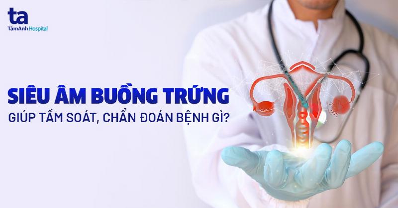 Thai 4 Tuần Siêu Âm Có Thấy Không? Điều Chị Em Cần Biết Để An Tâm Đón Con Yêu