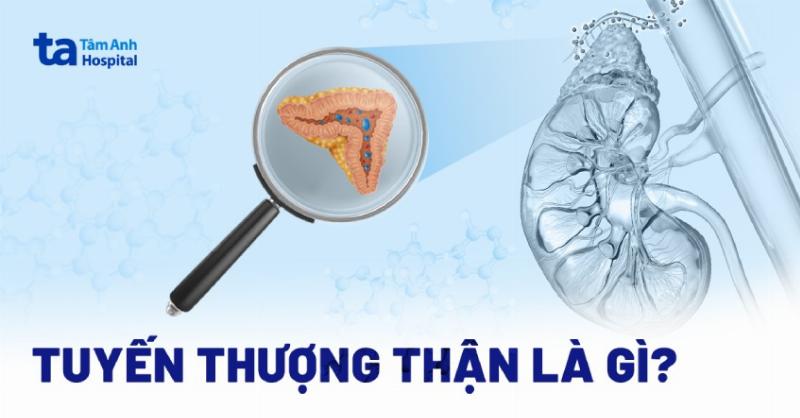 Điều trị suy tuyến thượng thận: Chìa khóa sống khỏe mỗi ngày
