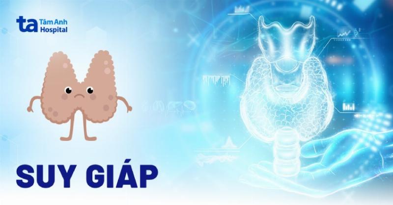 Hình ảnh biểu đồ thể hiện sự thay đổi nồng độ hormone tuyến giáp và TSH trong quá trình điều trị cường giáp bằng thuốc
