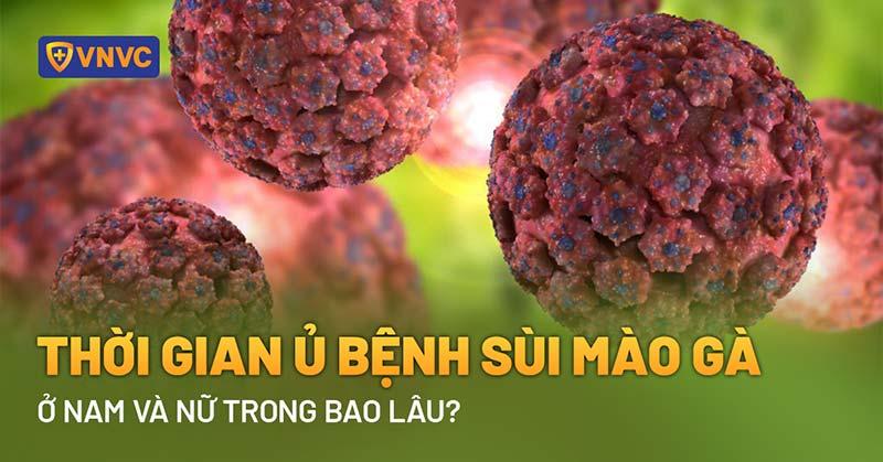 Thời Gian Ủ Bệnh Sùi Mào Gà: Bao Lâu Là ‘Điển Hình’ Và Vì Sao Khó Nói Chắc?