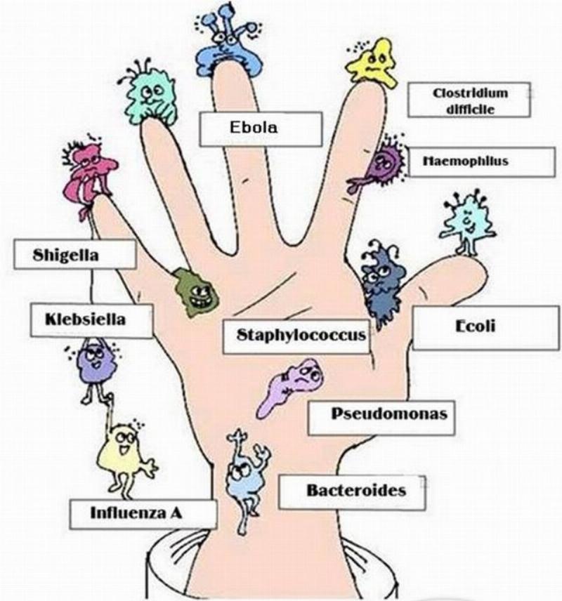 Hình ảnh minh họa các loại vi khuẩn, virus, ký sinh trùng là thủ phạm gây nhiễm khuẩn đường ruột