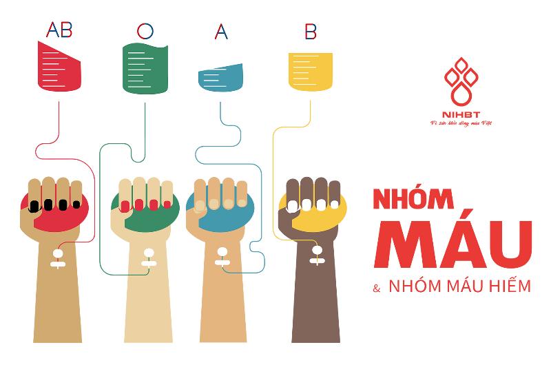 Biểu đồ thể hiện tỷ lệ các nhóm máu Rh âm, đặc biệt làm nổi bật sự hiếm hoi của nhóm máu AB âm tại Việt Nam.