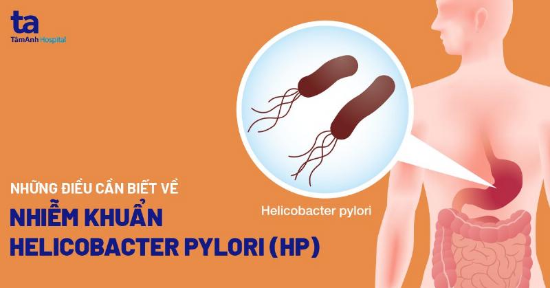 Viêm Dạ Dày HP Dương Tính: Hiểu Rõ Để Sống Khỏe Hơn Mỗi Ngày