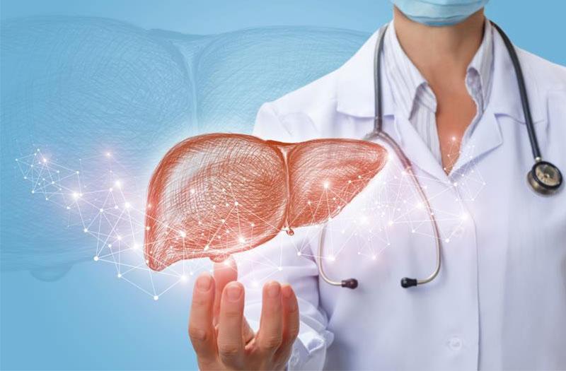 Men Gan Cao Uống Thuốc Gì? Giải Đáp Chi Tiết Từ Góc Độ Y Học
